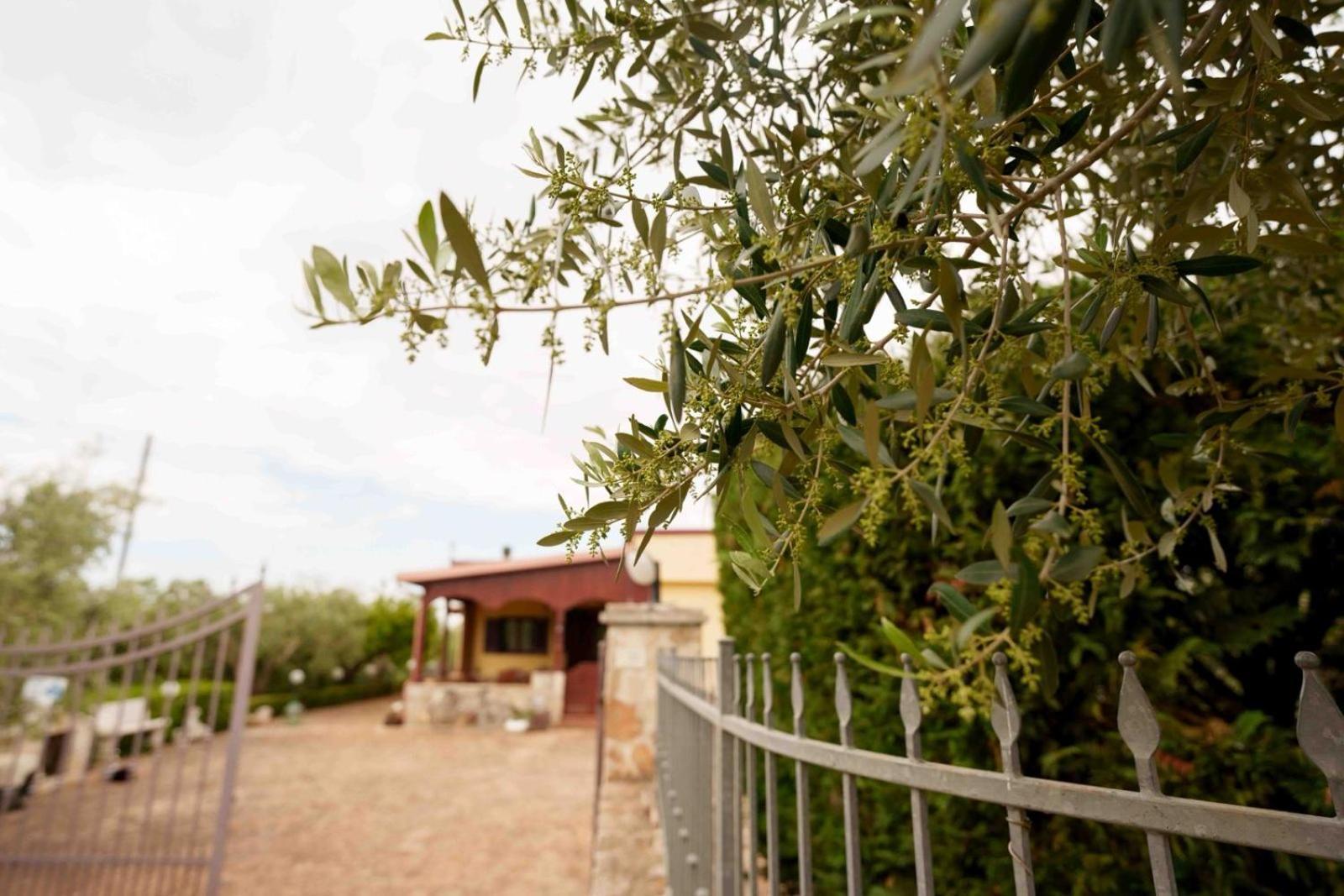 Villa Mario Mottola Exterior photo
